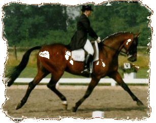 Huszti